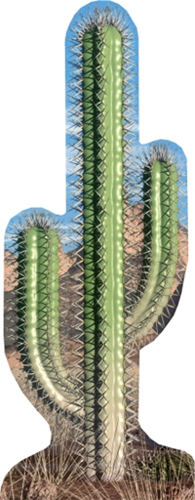 Cactus Cardboard Standee