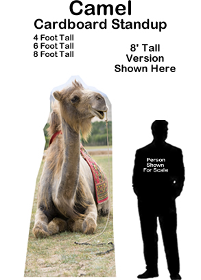 Camel Cardboard Cutout Standup Prop