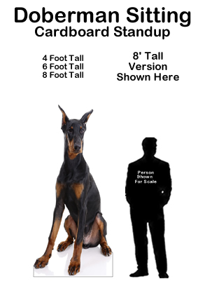 Doberman Sitting Cardboard Cutout Standup Prop